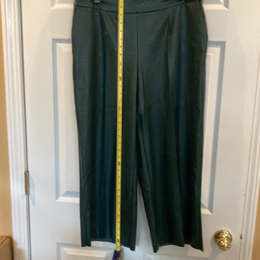 J Jason Wu Faux Leather Croc Culotte Pants Evergreen Size 10 - Picture 8 of 13